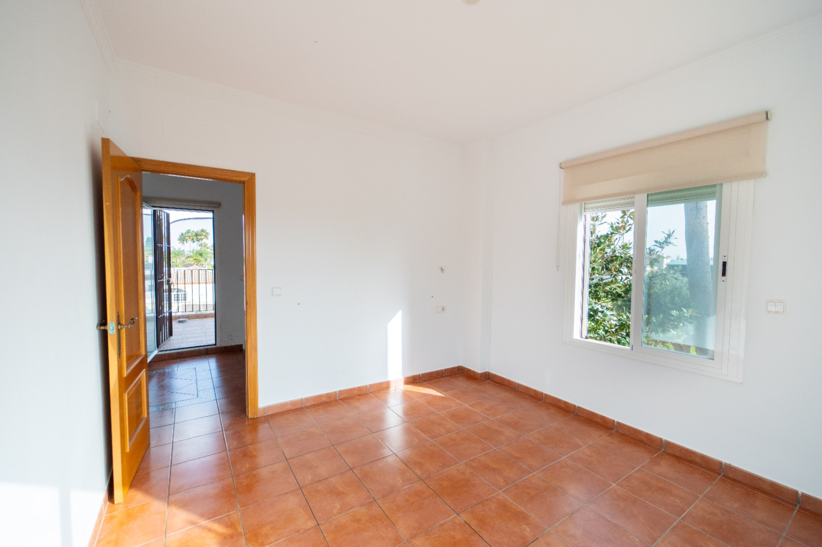 Casa o chalet independiente en venta en Camino de la Jara s/n — Imagen 20